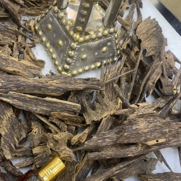 Universal spark plugs